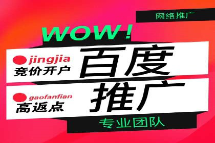 提升转化率：SEM广告投放的实战案例分享
